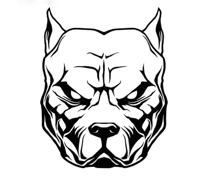 #146 uzlīme pitbull 20cm | vinila uzlīme | auto uzlīme | uzlīme uz auto
